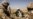 Afghans Working With NATO-Led Forces Fear For The Future