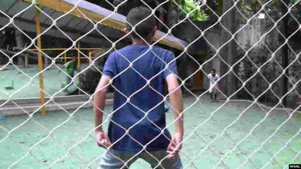 Paraisapolis Community Program #53