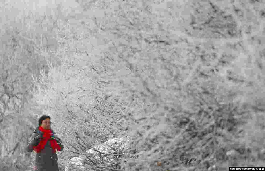 A woman walks amid snow-covered trees in Moscow. (epa-EFE/Yuri Kochetkov)