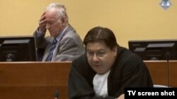 Ratko Mladić i branitelj Dejan Ivetić u sudnici 11.9.2013.