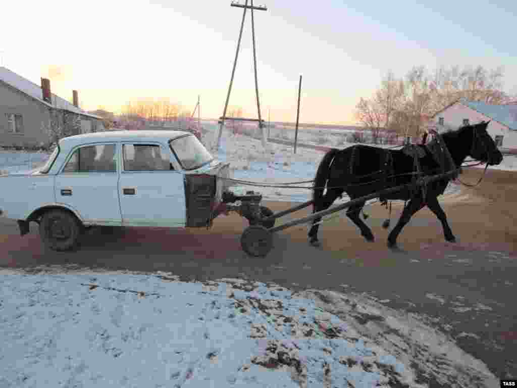 25 лютага. "Конемабіль", які зрабіў Іван Мельнікаў, жыхар вёскі Стары Куклюк у Татарстане. 