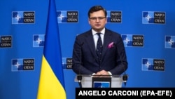 «Я не бачу потенціалу в найближчій перспективі, щоб НАТО змінило свою позицію подібно до Євросоюзу і почало робити конкретні речі з забезпечення вступу України в Альянс»