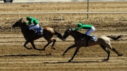 Aşgabatda baýramçylyk at çapyşygynda çapyksuwar heläk boldy