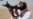 U.S.: 2011 'Landmark Year' In Terror Fight