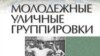 Обложка книги "Молодежные уличные группировки"