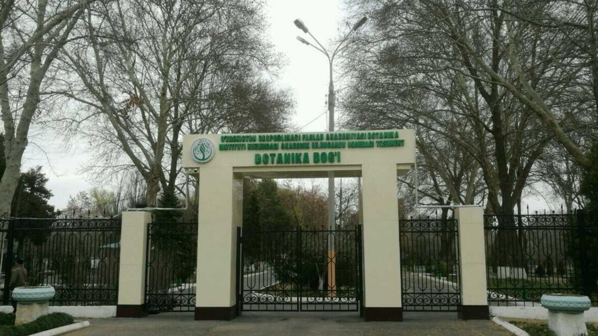 Ташкент парк Ботанический
