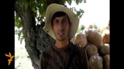 Кадуфурӯшӣ беҳ аз муҳоҷирати корӣ ба Русия.