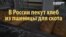 Кто виноват, что в России пекут хлеб из пшеницы для скота? (видео)