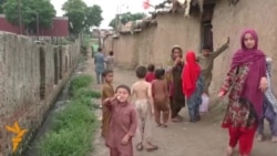 Ахбори бахшҳои Радиои Озодӣ