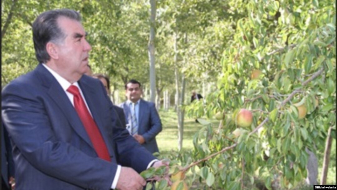 Tajik President Emomali Rahmon was the only candidate who was said to have collected enough signatures to run in the election, which is just a month away.