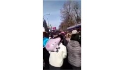 Раздача бесплатных фруктов в Северной Осетии
