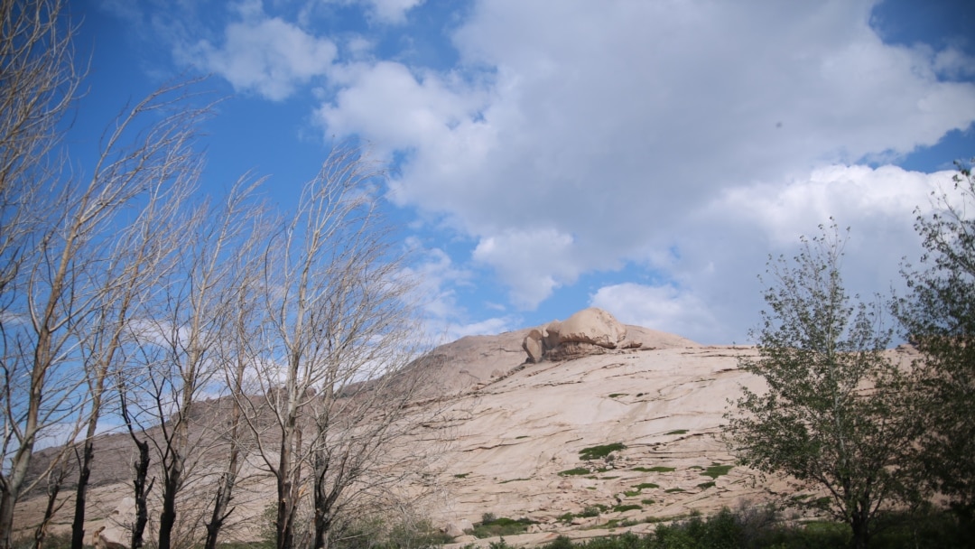 Секс және эротика үйі