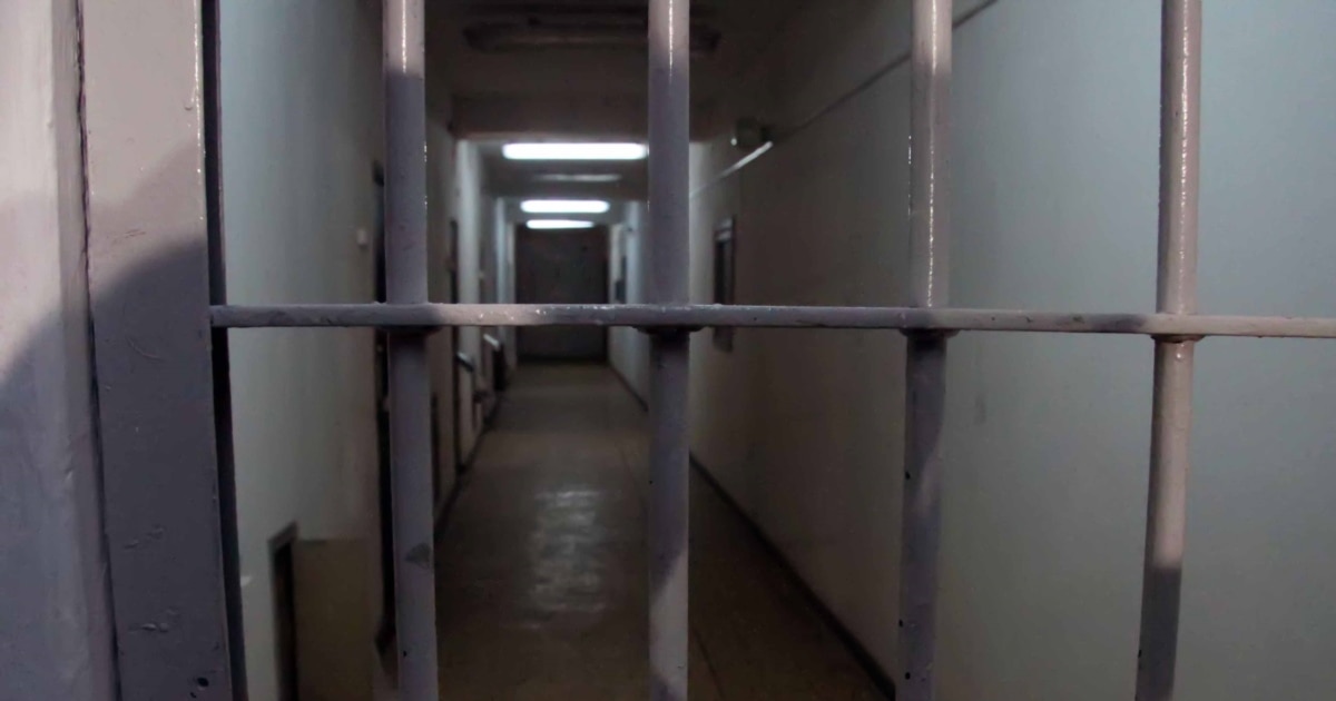 Көптеген сперматозоидтар үлкен әтештер анальді