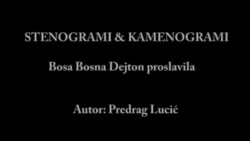 STENOGRAMI & KAMENOGRAMI: Bosa Bosna Dejton proslavila