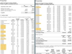 მონაცემები 2022 წლის ფინანსური ანგარიშგებიდან