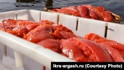 Иллюстративное фото