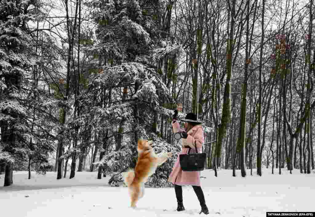 A woman plays with a dog in Minsk&#39;s Central Gorky Park on a winter&#39;s day in Belarus. (epa-EFE/Tatyana Zenkovich)