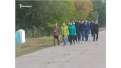 Стройными рядами на выборы...