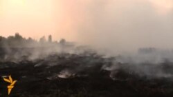 Пад Бабруйскам гараць тарфянікі