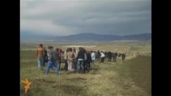 აქცია ქარსაცავი ზოლების აღსადგენად