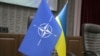 NATO Grants Ukraine 'Enhanced Opportunities Partner' Status
