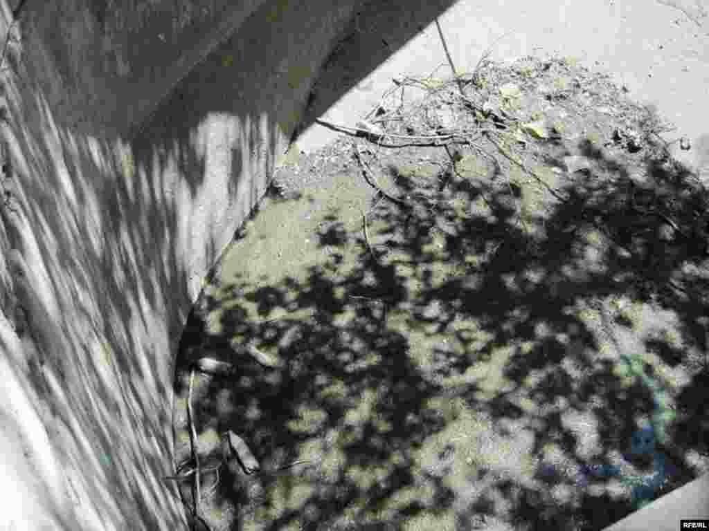 Zoopark "əhli" və yay istiləri #7