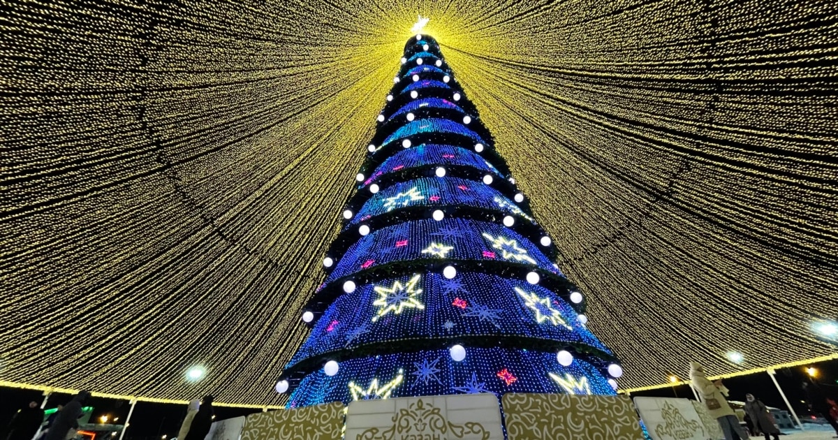 Ішінде сиыр қыз күйінде аяқталды Ішінде сиыр қыз күйінде аяқталды