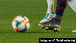 تزئیني بڼه لري (د ارشیف انځور)