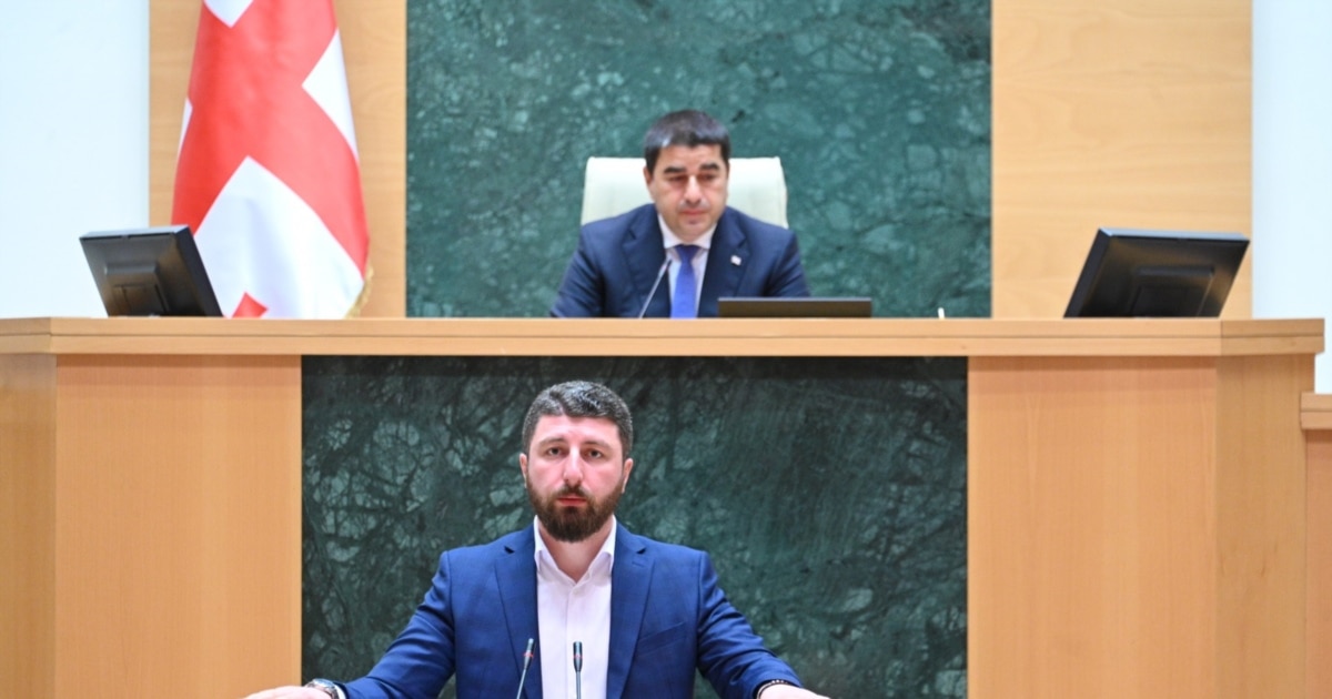 "ქართული ოცნება" უპარტიო მოქალაქეებისთვისაც აპირებს პოლიტიკური საქმიანობის შეზღუდვას