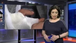 Ахбори Озодӣ аз 3-уми майи 2018 (HD)