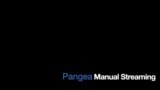 Presentation Manual Streaming to Social Medias via Pangea