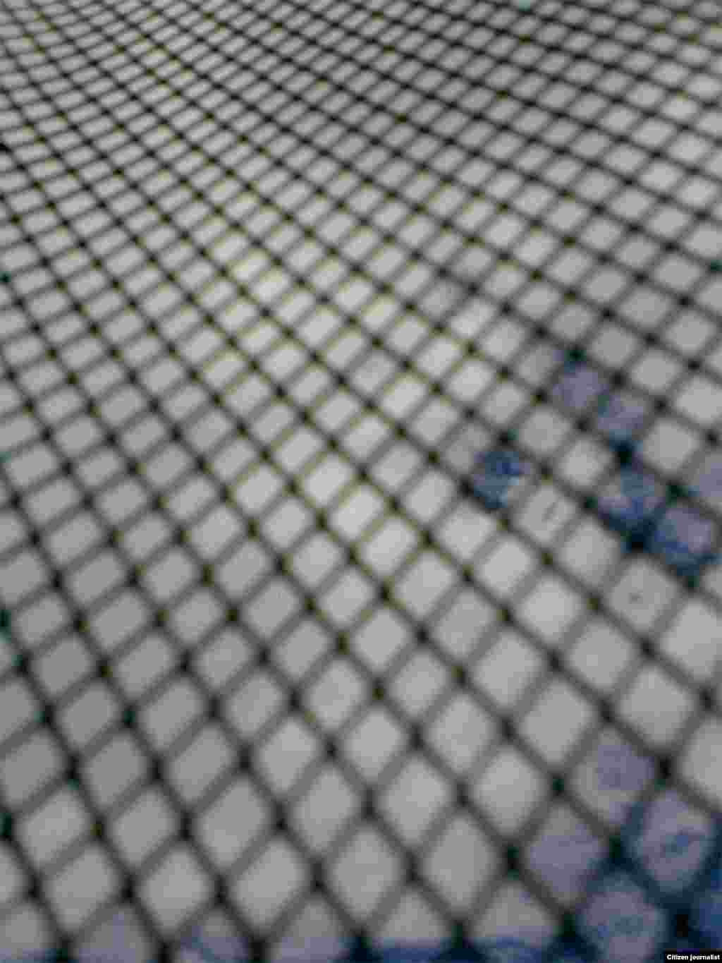 23 გიორგი კენჭუაშვილი: "ცხოვრების ჩარჩო"