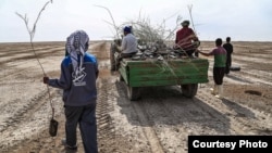 In addition to many economic woes, the impoverished Iranian province of Khuzestan has been hit hard by drought, pollution, and a water crisis.