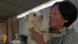 Жаһан жаңалықтары 14.07.2015