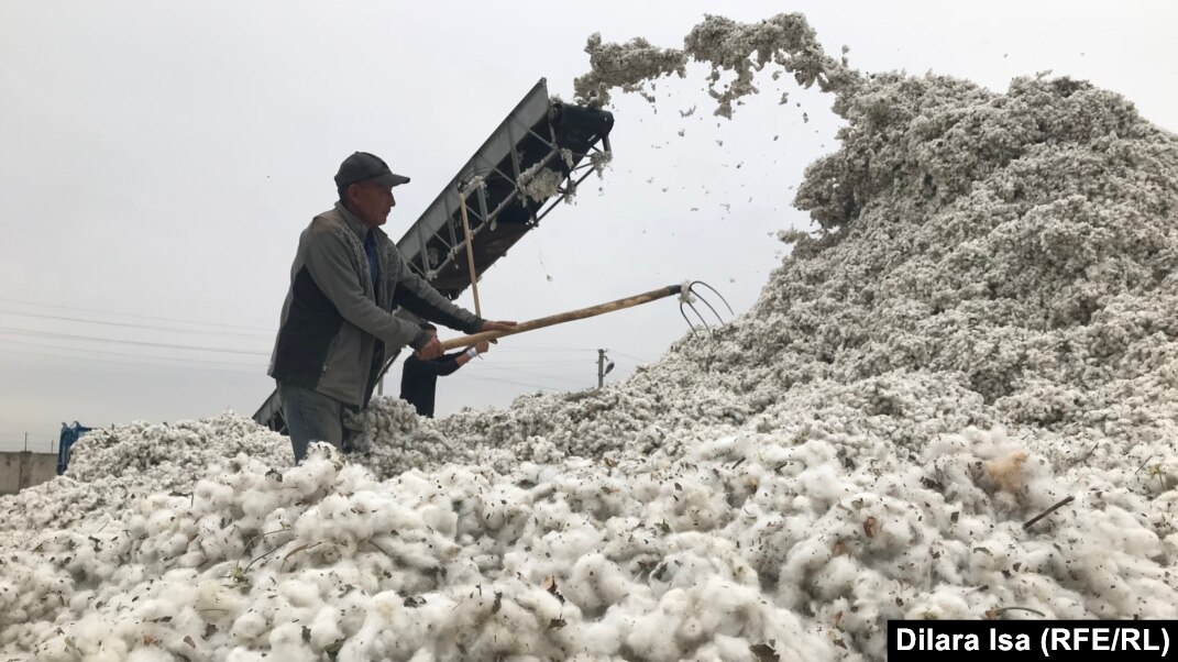 Мас әйелдердің онлайн порносы