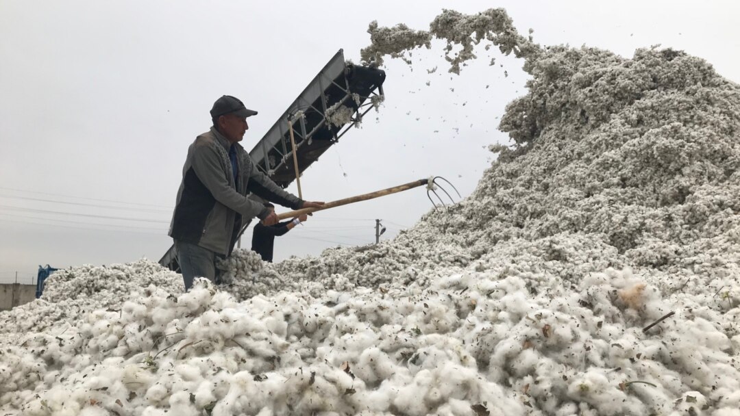 Мас свингерлер порно