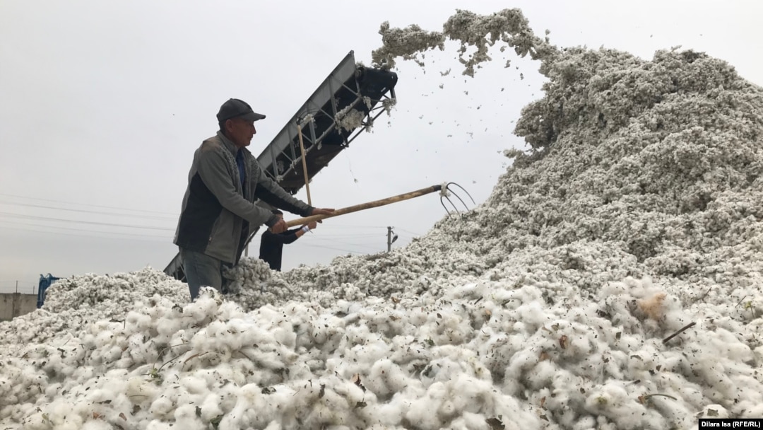 Бодибилдер әйелдер жыныстық қатынасқа түсетін бейнелерді қараңыз