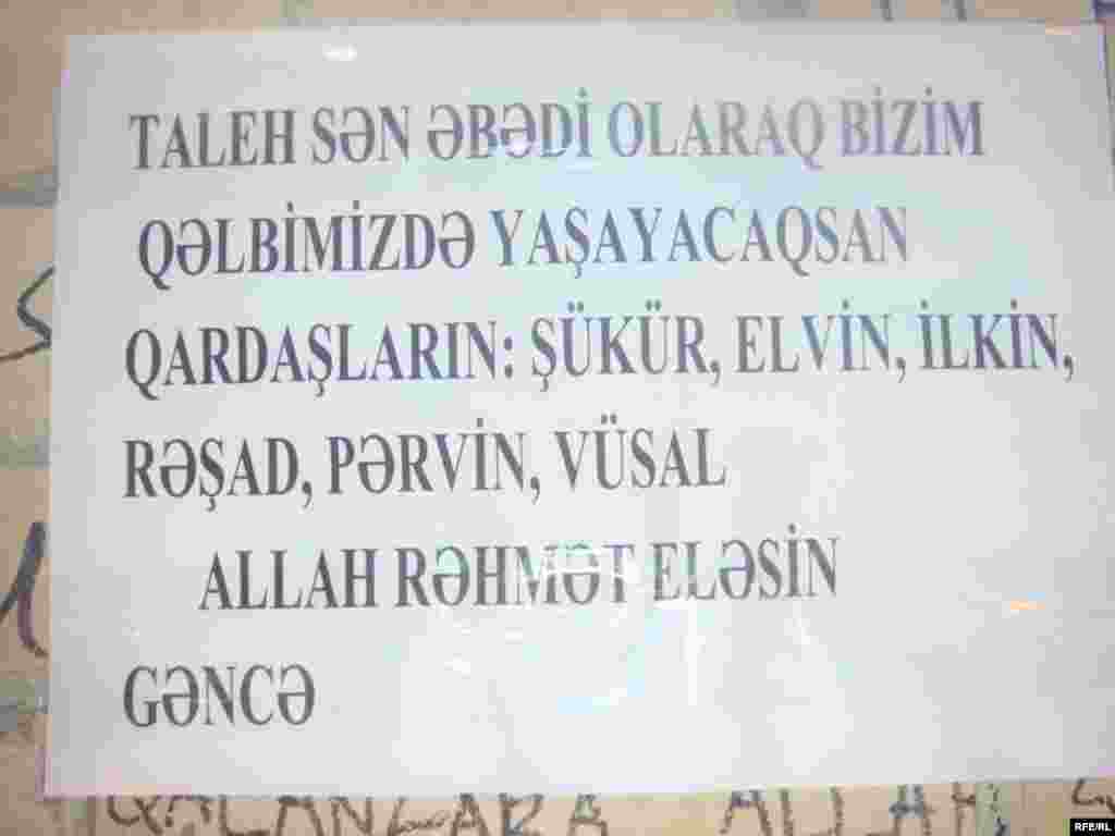 "Gül bayramına yox" #10