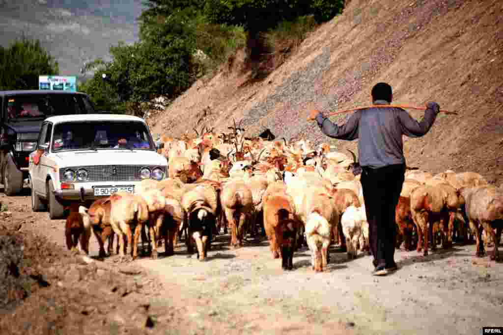 Lahıcın yolu və özü #11