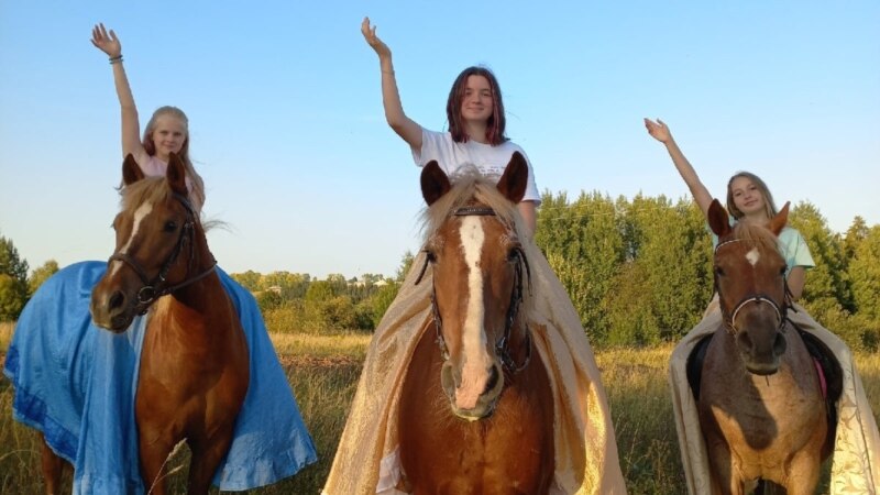 Жители поселка Нолинск Кировской области просят спасти лошадей