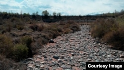 Ысык-Көлго куйган өзөн сайлар жаз-жай айларында кургап калат