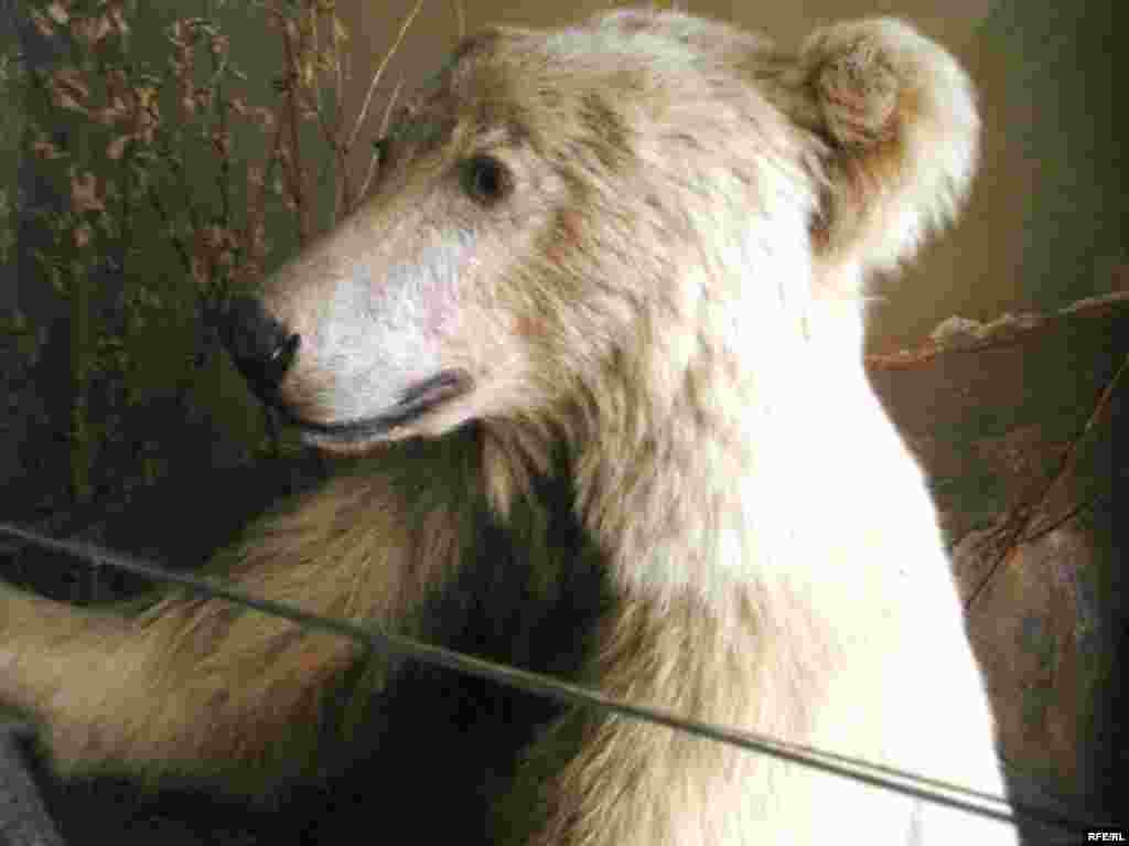 Рангҳои Помир #15