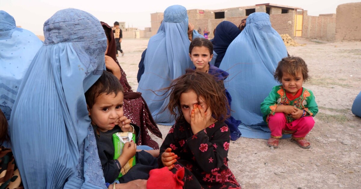 Порно Ирма ұшты