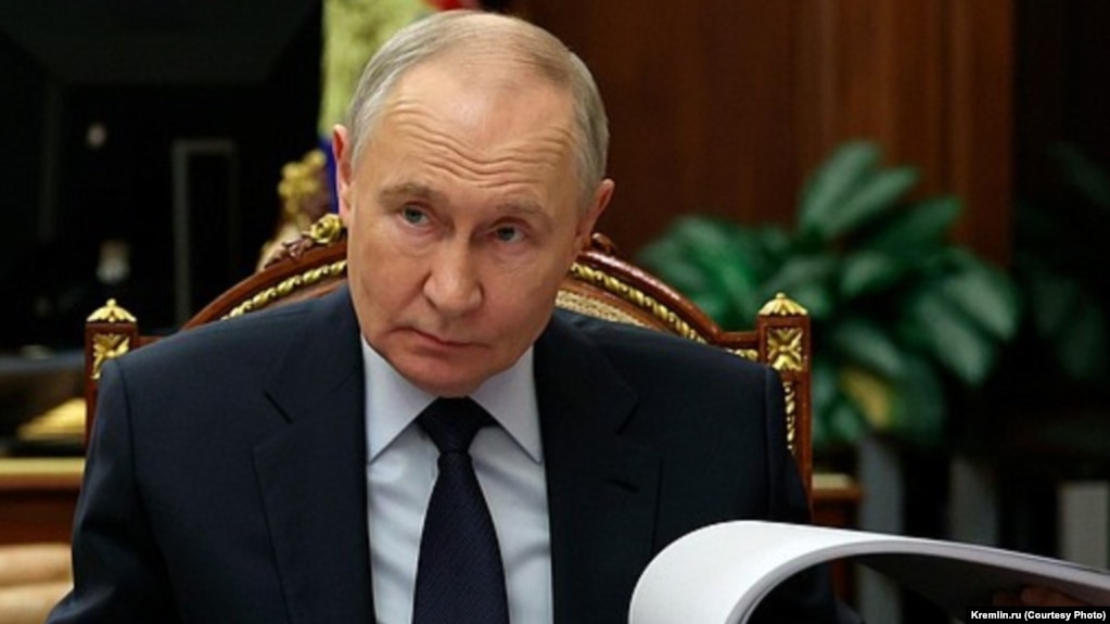 Владимир Путин на фоне растения, 6 декабря 2026 года