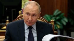 Владимир Путин на фоне растения, 6 декабря 2026 года
