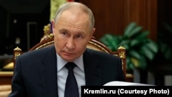 Владимир Путин на фоне растения, 6 декабря 2026 года
