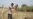 Drought, Dams Force Iraqi Farmers To Abandon Crops