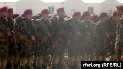 آرشیف، کوماندوهای ارتش افغانستان