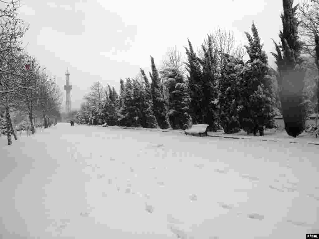 Şəhər ağ don geyinəndə bəzi ayıbları da örtülür