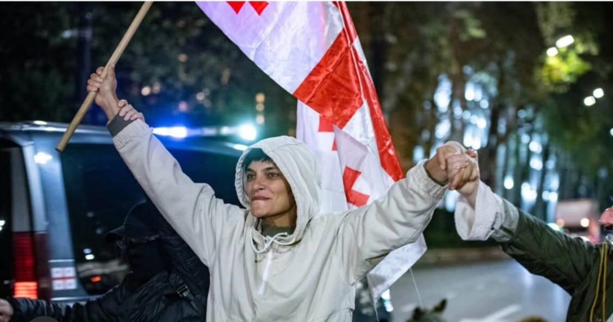 აქტივისტ ანა გამსახურდიას ორდღიანი ადმინისტრაციული პატიმრობა შეეფარდა